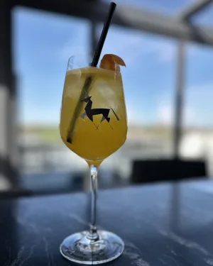 Agua de Valencia